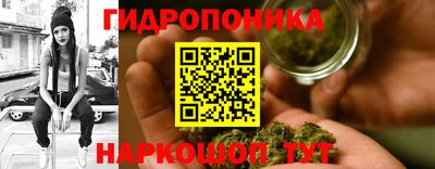 гашик Братск