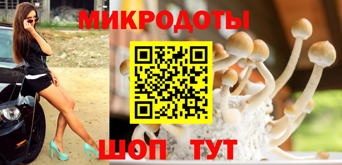Бахчисарай  Галлюциногенные грибы Psilocybine cubensis  Вход с VPN 